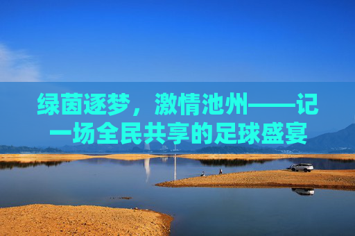 绿茵逐梦，激情池州——记一场全民共享的足球盛宴