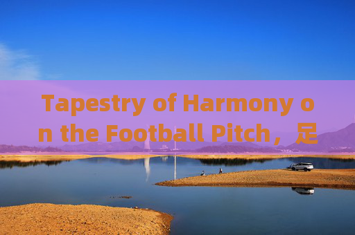 Tapestry of Harmony on the Football Pitch，足球场上的和谐织锦