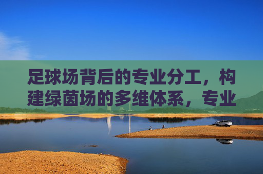足球场背后的专业分工，构建绿茵场的多维体系，专业分工构建绿茵场多维体系