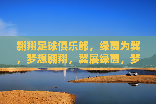翱翔足球俱乐部，绿茵为翼，梦想翱翔，翼展绿茵，梦想翱翔