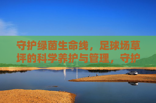 守护绿茵生命线，足球场草坪的科学养护与管理，守护绿茵生命线，足球场草坪的科学养护与管理