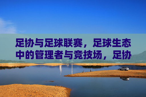 足协与足球联赛，足球生态中的管理者与竞技场，足协与足球联赛，足球生态中的管理者与竞技场