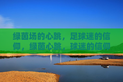 绿茵场的心跳，足球迷的信仰，绿茵心跳，球迷的信仰