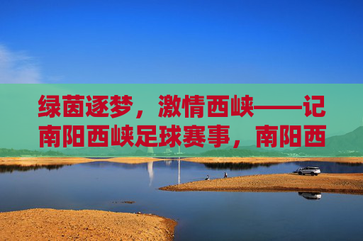 绿茵逐梦，激情西峡——记南阳西峡足球赛事，南阳西峡绿茵逐梦，足球激情飞扬