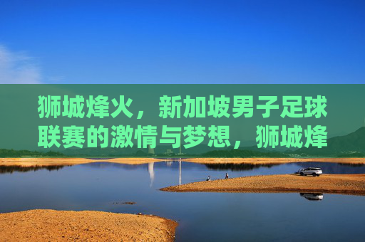 狮城烽火，新加坡男子足球联赛的激情与梦想，狮城烽火，新加坡男子足球联赛的激情与梦想