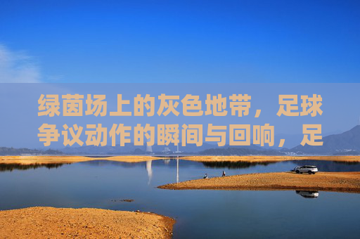 绿茵场上的灰色地带，足球争议动作的瞬间与回响，足球争议动作的灰色地带，瞬间与回响
