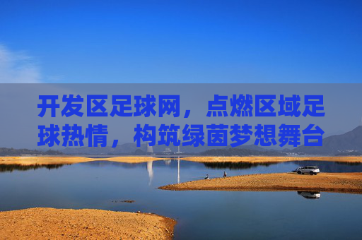 开发区足球网，点燃区域足球热情，构筑绿茵梦想舞台，开发区足球网，点燃区域热情，构筑绿茵梦想