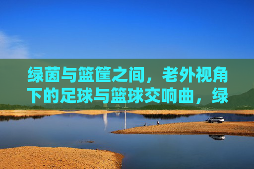 绿茵与篮筐之间，老外视角下的足球与篮球交响曲，绿茵篮筐间，老外视角下的足球篮球交响