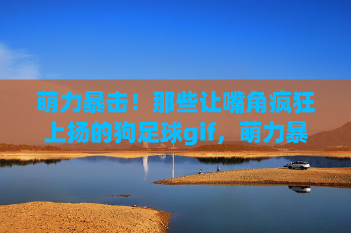 萌力暴击！那些让嘴角疯狂上扬的狗足球gif，萌力暴击！狗足球gif笑弯嘴角