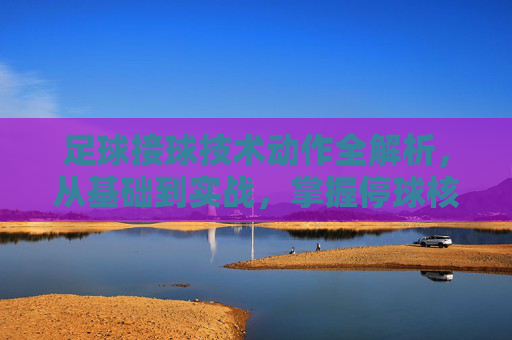 足球接球技术动作全解析，从基础到实战，掌握停球核心技巧，足球停球技术全解析，从基础到实战，掌握核心技巧