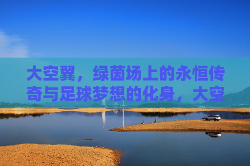 大空翼，绿茵场上的永恒传奇与足球梦想的化身，大空翼，绿茵场永恒传奇与足球梦想化身