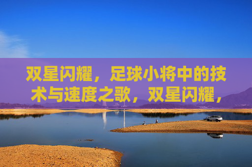 双星闪耀，足球小将中的技术与速度之歌，双星闪耀，足球小将的技术与速度之歌