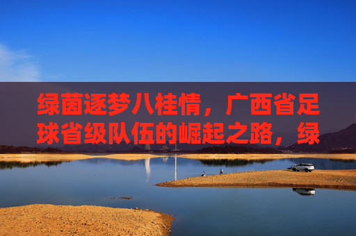 绿茵逐梦八桂情，广西省足球省级队伍的崛起之路，绿茵逐梦八桂，广西足球省级队伍崛起之路