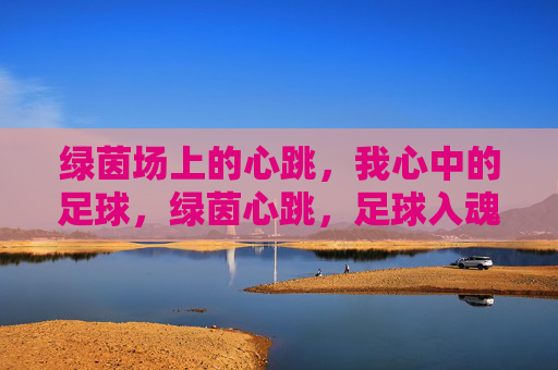 绿茵场上的心跳，我心中的足球，绿茵心跳，足球入魂