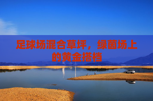 足球场混合草坪，绿茵场上的黄金搭档