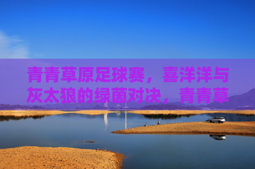 青青草原足球赛，喜洋洋与灰太狼的绿茵对决，青青草原，喜洋洋与灰太狼绿茵对决