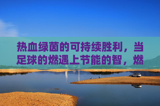 热血绿茵的可持续胜利,当足球的燃遇上节能的智,燃绿茵·智节能,可持续胜利 热血绿茵的可持续胜利,当足球的燃遇上节能的智,燃绿茵·智节能,可持续胜利