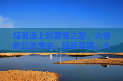绿茵场上的雷霆之怒，大佬的复仇序曲，绿茵雷霆，大佬复仇序曲