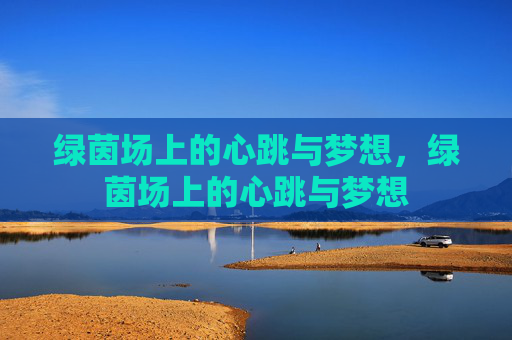 绿茵场上的心跳与梦想，绿茵场上的心跳与梦想