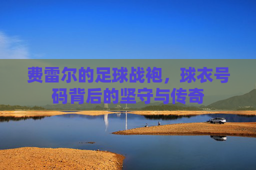 费雷尔的足球战袍，球衣号码背后的坚守与传奇