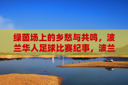 绿茵场上的乡愁与共鸣，波兰华人足球比赛纪事，波兰华人足球，绿茵场上的乡愁与共鸣