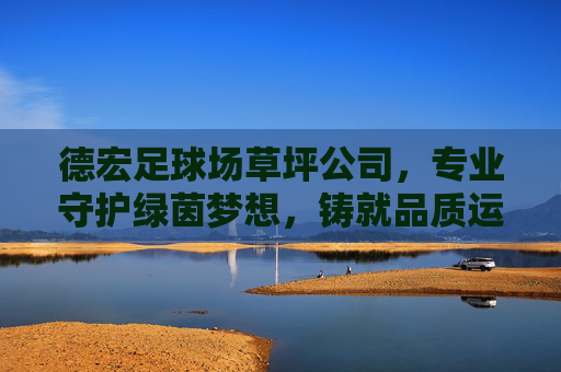 德宏足球场草坪公司，专业守护绿茵梦想，铸就品质运动空间，德宏足球场草坪公司，守护绿茵梦想，铸就品质运动空间