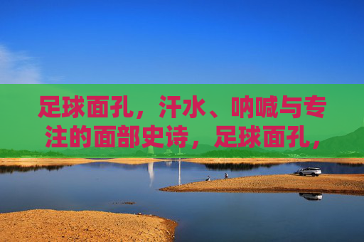 足球面孔，汗水、呐喊与专注的面部史诗，足球面孔，汗水、呐喊与专注的面部史诗