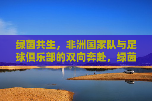 绿茵共生，非洲国家队与足球俱乐部的双向奔赴，绿茵共生，非洲国家队与足球俱乐部的双向奔赴