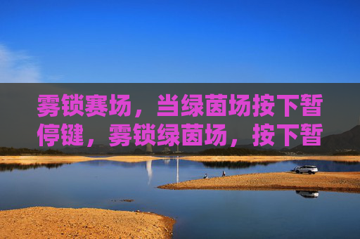 雾锁赛场，当绿茵场按下暂停键，雾锁绿茵场，按下暂停键