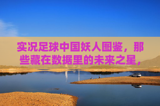实况足球中国妖人图鉴，那些藏在数据里的未来之星，实况足球中国妖人图鉴，数据里的未来之星