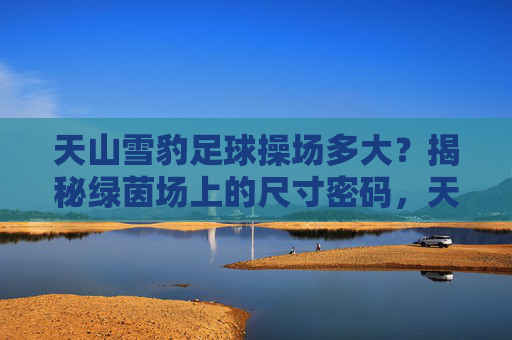天山雪豹足球操场多大？揭秘绿茵场上的尺寸密码，天山雪豹足球操场尺寸揭秘