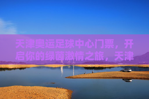天津奥运足球中心门票，开启你的绿茵激情之旅，天津奥运足球中心门票，开启绿茵激情之旅