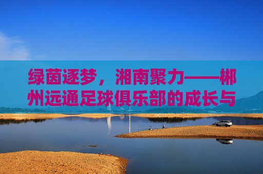 绿茵逐梦，湘南聚力——郴州远通足球俱乐部的成长与展望