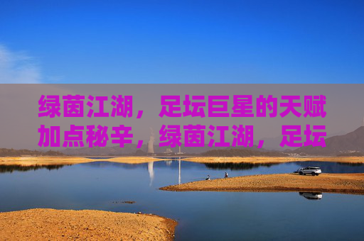 绿茵江湖，足坛巨星的天赋加点秘辛，绿茵江湖，足坛巨星天赋加点秘辛