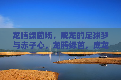 龙腾绿茵场，成龙的足球梦与赤子心，龙腾绿茵，成龙足球梦赤子心