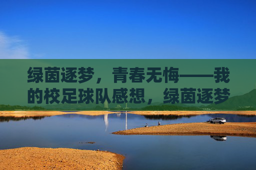 绿茵逐梦，青春无悔——我的校足球队感想，绿茵逐梦，青春无悔