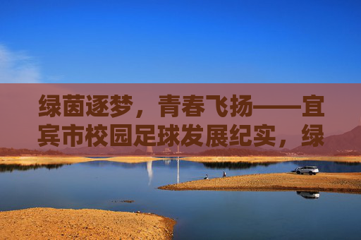 绿茵逐梦，青春飞扬——宜宾市校园足球发展纪实，绿茵逐梦，青春飞扬——宜宾市校园足球发展纪实