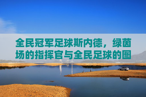 全民冠军足球斯内德，绿茵场的指挥官与全民足球的图腾，绿茵指挥官斯内德，全民足球图腾