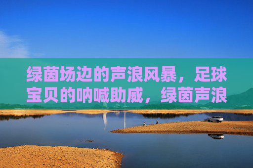 绿茵场边的声浪风暴，足球宝贝的呐喊助威，绿茵声浪风暴，足球宝贝的呐喊