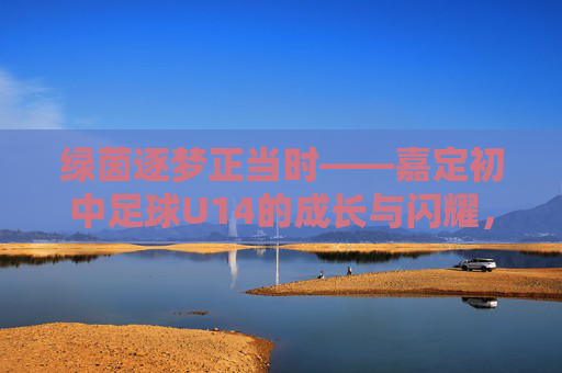 绿茵逐梦正当时——嘉定初中足球U14的成长与闪耀，绿茵逐梦正当时，嘉定初中足球U14成长闪耀