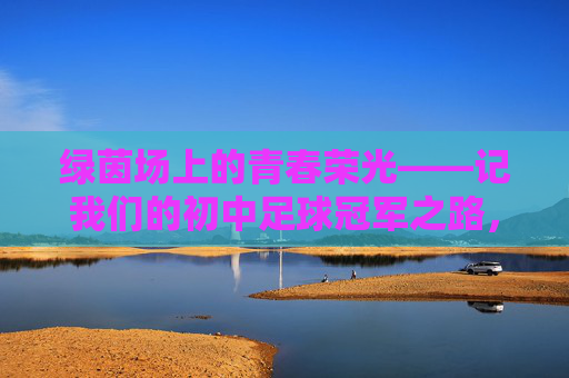 绿茵场上的青春荣光——记我们的初中足球冠军之路，青春荣光，初中足球冠军之路