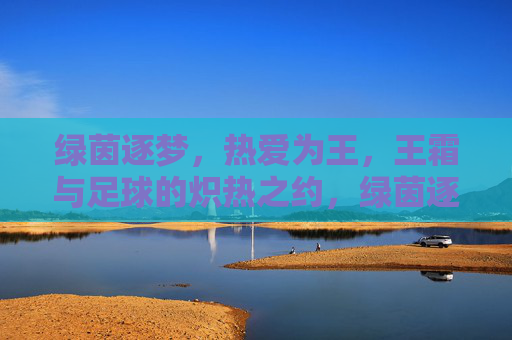 绿茵逐梦，热爱为王，王霜与足球的炽热之约，绿茵逐梦，热爱为王，王霜炽热足球之约