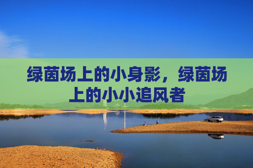 绿茵场上的小身影，绿茵场上的小小追风者
