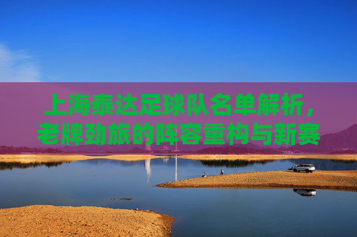 上海泰达足球队名单解析，老牌劲旅的阵容重构与新赛季展望，上海泰达，老牌劲旅阵容重构与新赛季展望