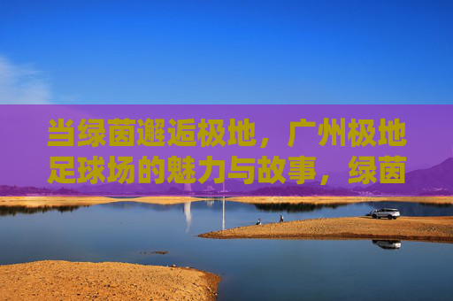 当绿茵邂逅极地，广州极地足球场的魅力与故事，绿茵邂逅极地，广州极地足球场的魅力与故事