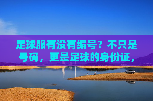 足球服有没有编号？不只是号码，更是足球的身份证，足球服编号，号码背后的足球身份证
