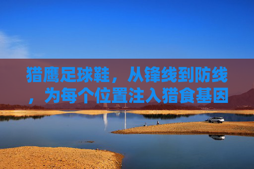 猎鹰足球鞋，从锋线到防线，为每个位置注入猎食基因
