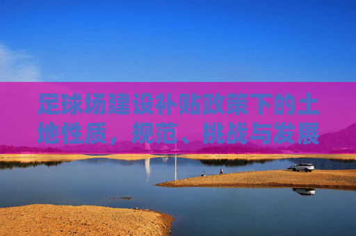 足球场建设补贴政策下的土地性质，规范、挑战与发展路径，足球场建设补贴政策下土地性质的规范、挑战与发展路径