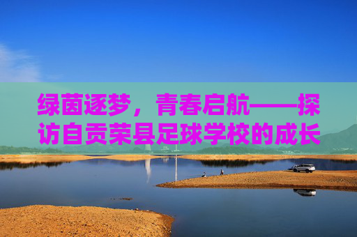绿茵逐梦，青春启航——探访自贡荣县足球学校的成长之路，自贡荣县足球学校，绿茵逐梦，青春成长之路