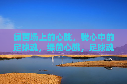 绿茵场上的心跳，我心中的足球魂，绿茵心跳，足球魂